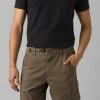 Prana Men's Stretch Zion Short II 10"