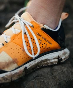 Women's Footwear Danner Women's Trail 2650 Campo 3