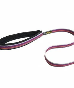 Ollydog Urban Trail Reflective Leash