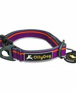Gear Ollydog Urban Trail Ref Collar