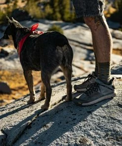 Buy 🔔 Men's Footwear Danner Men's Trail 2650 3" 🛒 15 Men's Footwear Danner Men's Trail 2650 3