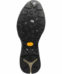 Danner Women's Caprine 4