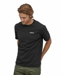 Men's Patagonia Mens Fitz Roy Horizons Responsibili-Tee