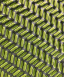 Big Agnes Twister Cane Bio Foam 20x72 Regular