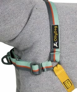 OllyDog Essential Harness Gear