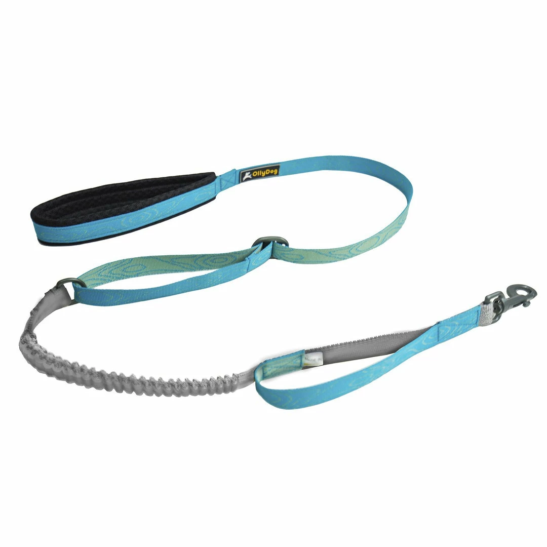 Budget ๐ Ollydog Flagstaff Adjustable Spring Leash Gear ๐ 5 Ollydog Flagstaff Adjustable Spring Leash Gear