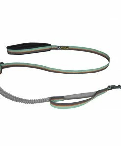 Budget ๐ Ollydog Flagstaff Adjustable Spring Leash Gear ๐ 6 Ollydog Flagstaff Adjustable Spring Leash Gear