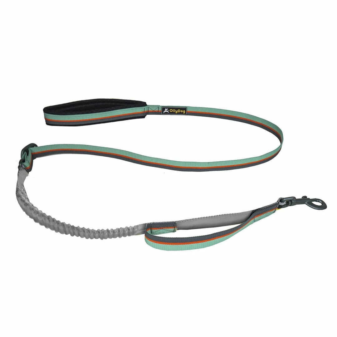 Budget ๐ Ollydog Flagstaff Adjustable Spring Leash Gear ๐ 4 Ollydog Flagstaff Adjustable Spring Leash Gear