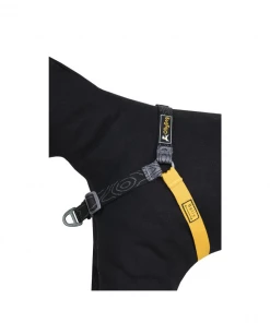 OllyDog Essential Harness Gear