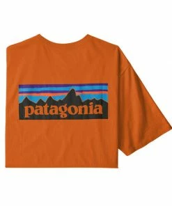 Patagonia Men's P-6 Logo Organic T-shirt