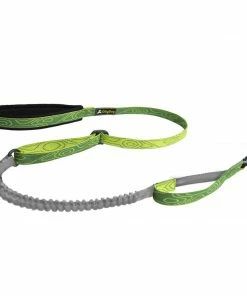 Ollydog Flagstaff Adjustable Spring Leash Gear