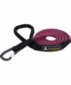 Gear Ollydog Mountain Leash