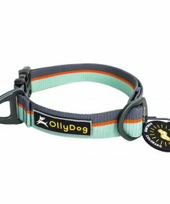 Ollydog Flagstaff Collar Gear