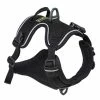 Ollydog Alpine Harness Gear