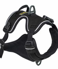 Ollydog Alpine Harness Gear