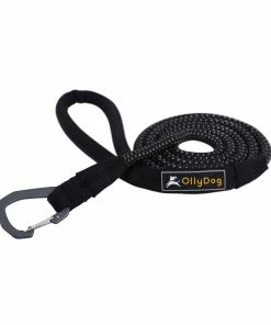 Gear Ollydog Mountain Leash