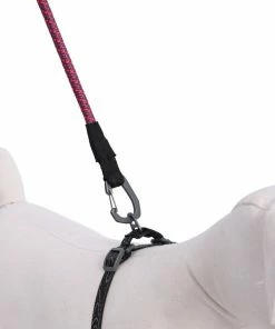 Gear Ollydog Mountain Leash