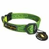 Ollydog Flagstaff Collar Gear