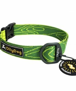 Ollydog Flagstaff Collar Gear