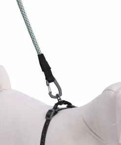 Gear Ollydog Mountain Leash